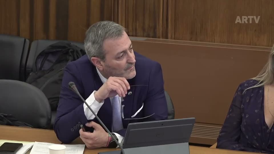 Committee member listening in the parliamentary hearing room, no captions